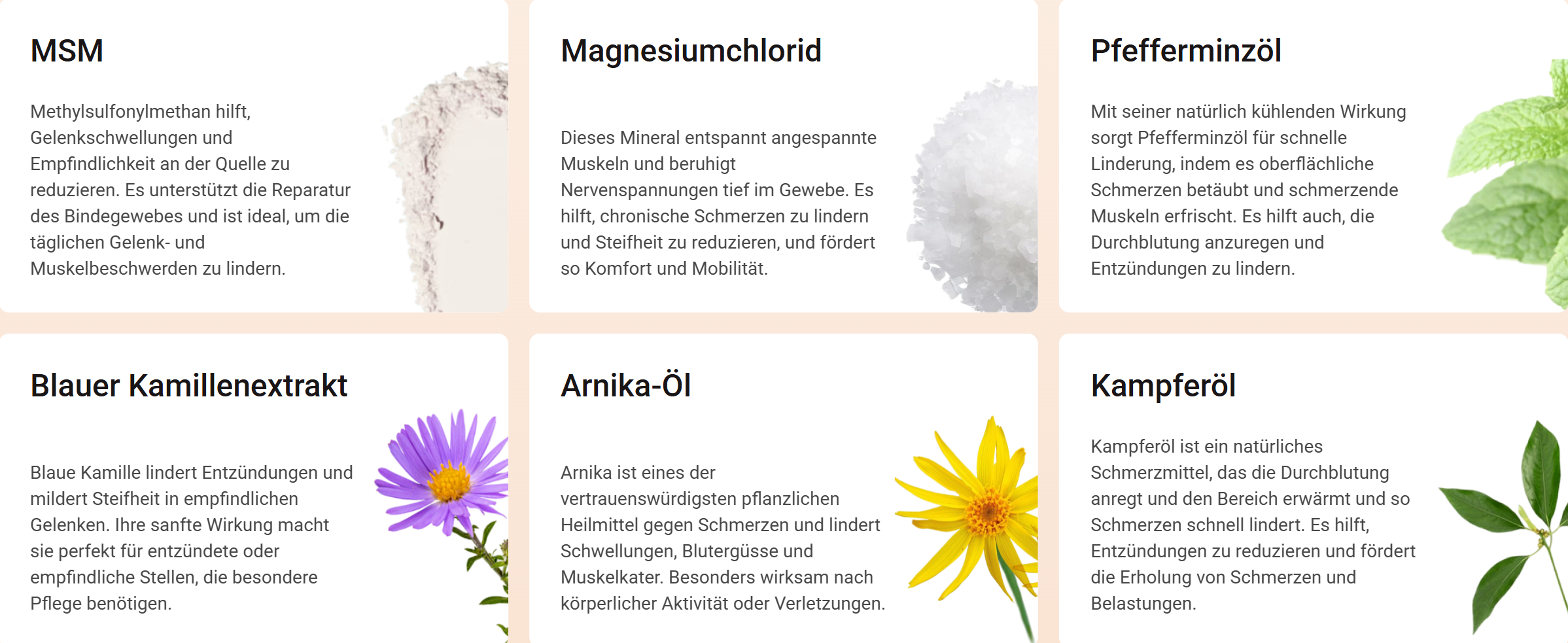 Wirkstoffe und Inhaltsstoffe